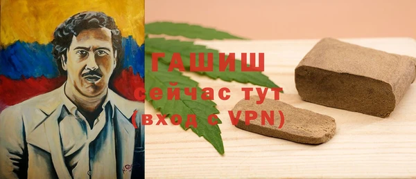 PSILOCYBIN Алзамай