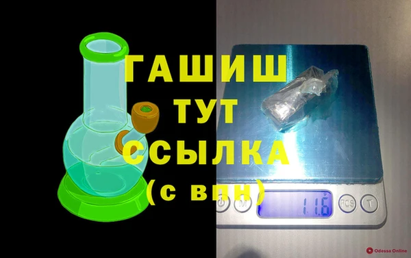 PSILOCYBIN Алзамай