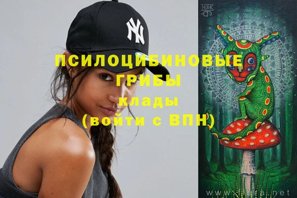 PSILOCYBIN Алзамай