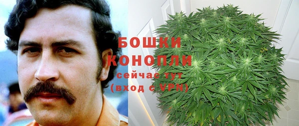 PSILOCYBIN Алзамай