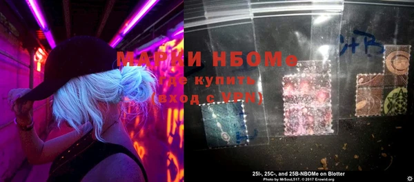 PSILOCYBIN Алзамай